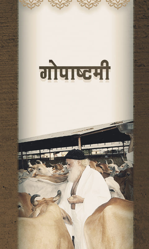 Gopashtami